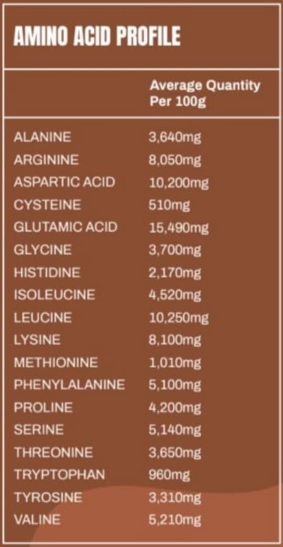 SNX protein ing